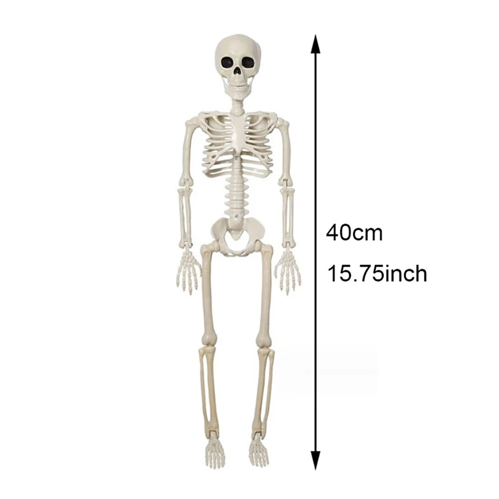 40cm Halloween Human Skeleton Decoration – Posable Fake Bone Horror Prop for Haunted House & Party Décor