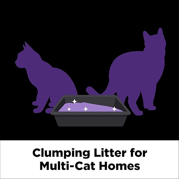 ARM & HAMMER Clump & Seal Slide Platinum Multi-Cat Clumping Litter – Easy Clean, Odor Control, 18 lbs - Urbizia