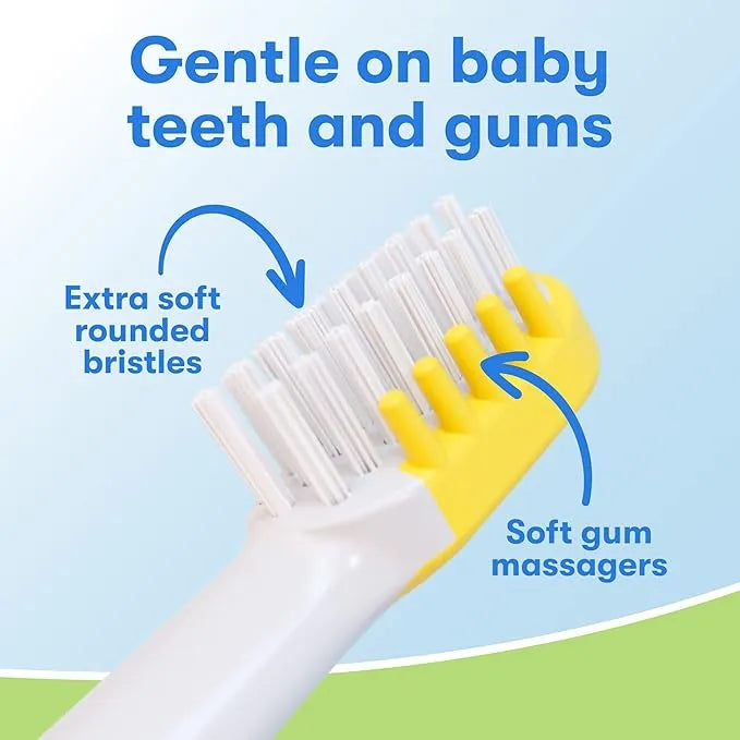 Baby Shark Light Up Toothbrush - Urbizia