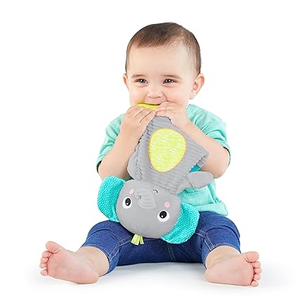 Bright Starts Snuggle & Teethe – Plush Giraffe Baby Teething Toy - Urbizia