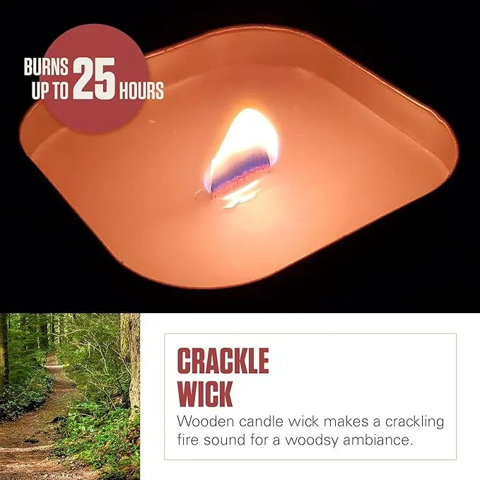 Coleman Pine Scented Citronella Candle - Urbizia