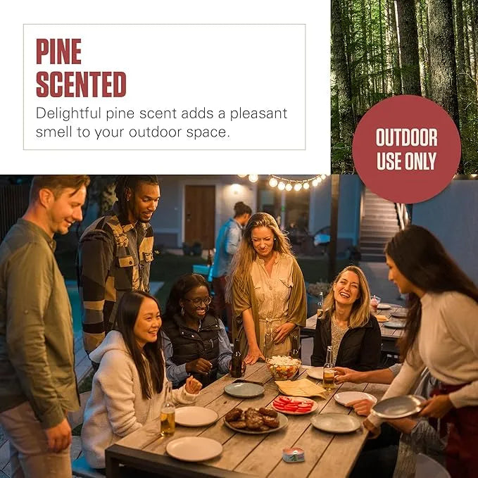 Coleman Pine Scented Citronella Candle - Urbizia