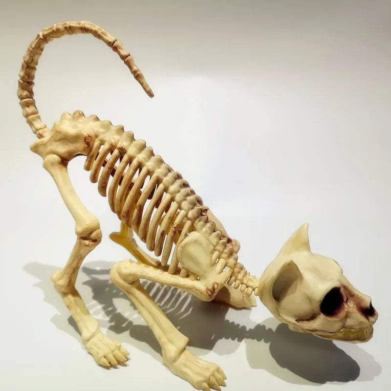 Creative Halloween Scary Skeleton Decoration – Crouching Cat Skeleton Skull Model