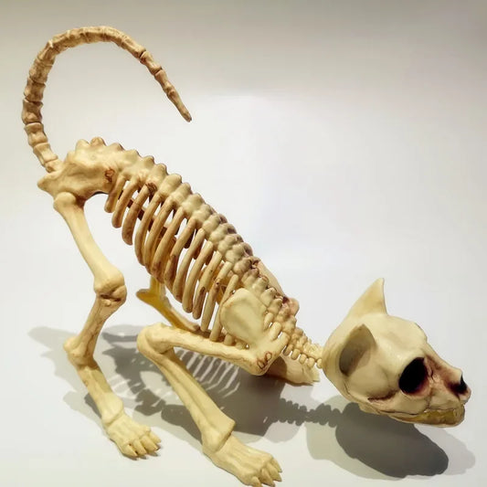 Creative Halloween Scary Skeleton Decoration – Crouching Cat Skeleton Skull Model