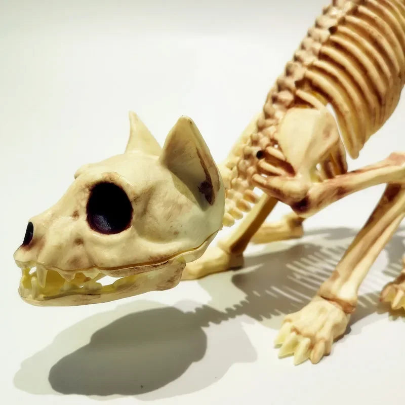 Creative Halloween Scary Skeleton Decoration – Crouching Cat Skeleton Skull Model