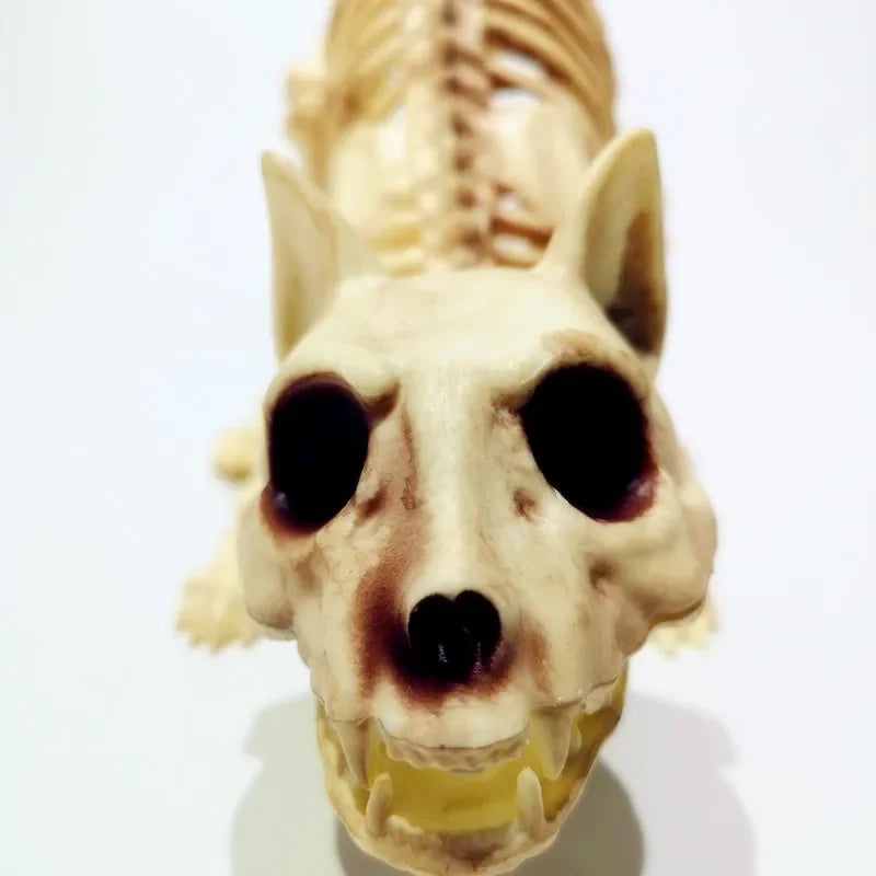 Creative Halloween Scary Skeleton Decoration – Crouching Cat Skeleton Skull Model