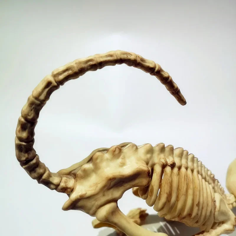 Creative Halloween Scary Skeleton Decoration – Crouching Cat Skeleton Skull Model