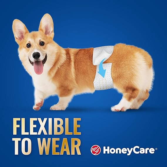 HONEY CARE All-Absorb Male Dog Wraps – Small, Disposable Leak-Proof Diapers for Male Dogs, 50 Count - Urbizia