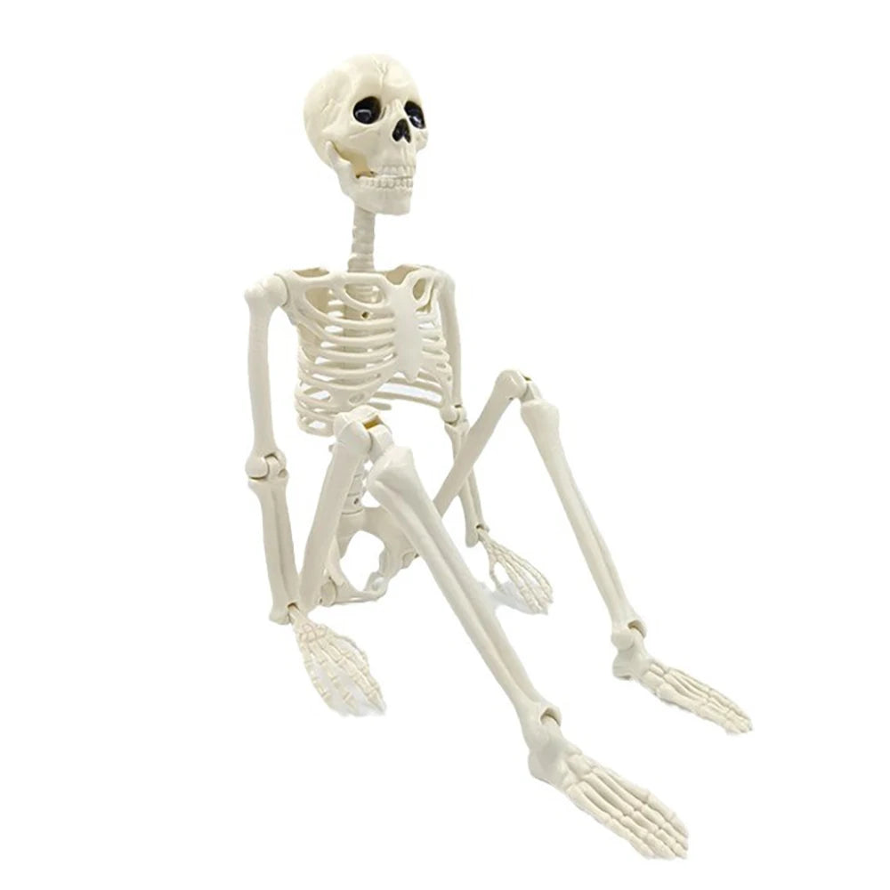 Halloween Decorations Posable Human Skeleton – Fake Bone Horror Prop for Spooky Décor