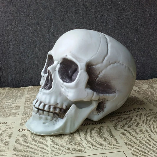 Halloween Skull Decoration – Realistic Plastic Skeleton Head for Party, Yard, and Haunted House Props