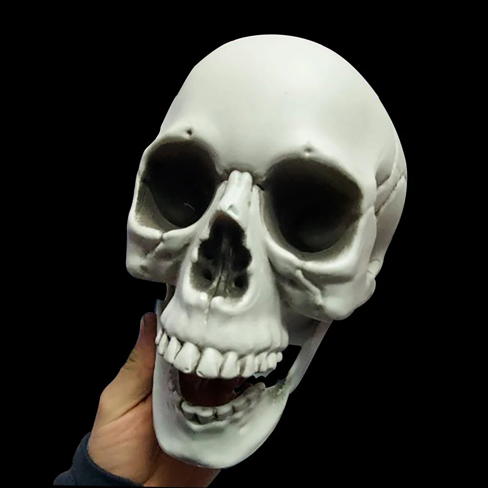 Halloween Skull Decoration – Realistic Plastic Skeleton Head for Party, Yard, and Haunted House Props