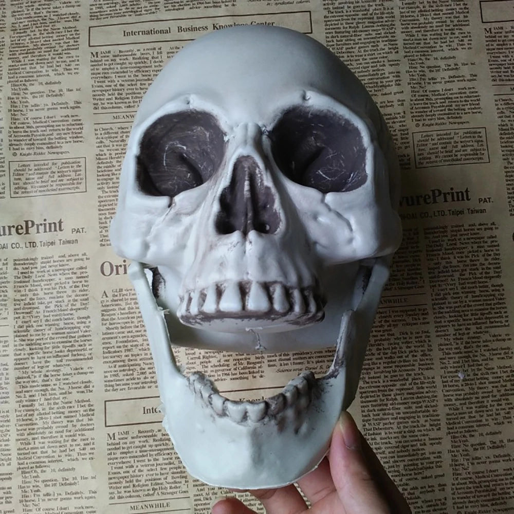 Halloween Skull Decoration – Realistic Plastic Skeleton Head for Party, Yard, and Haunted House Props