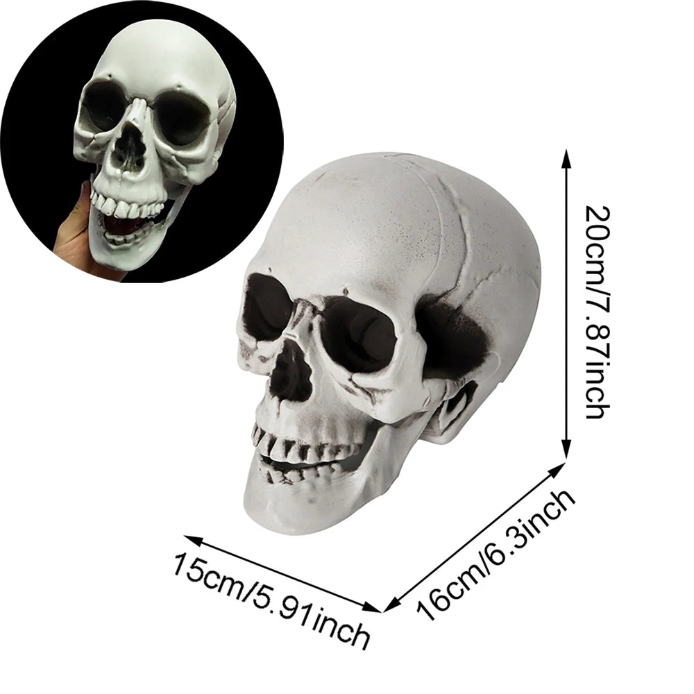 Halloween Skull Decoration – Realistic Plastic Skeleton Head for Party, Yard, and Haunted House Props