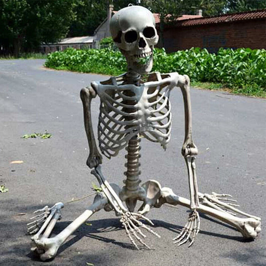 Life-Size Human Skeleton – 90CM Halloween Prop