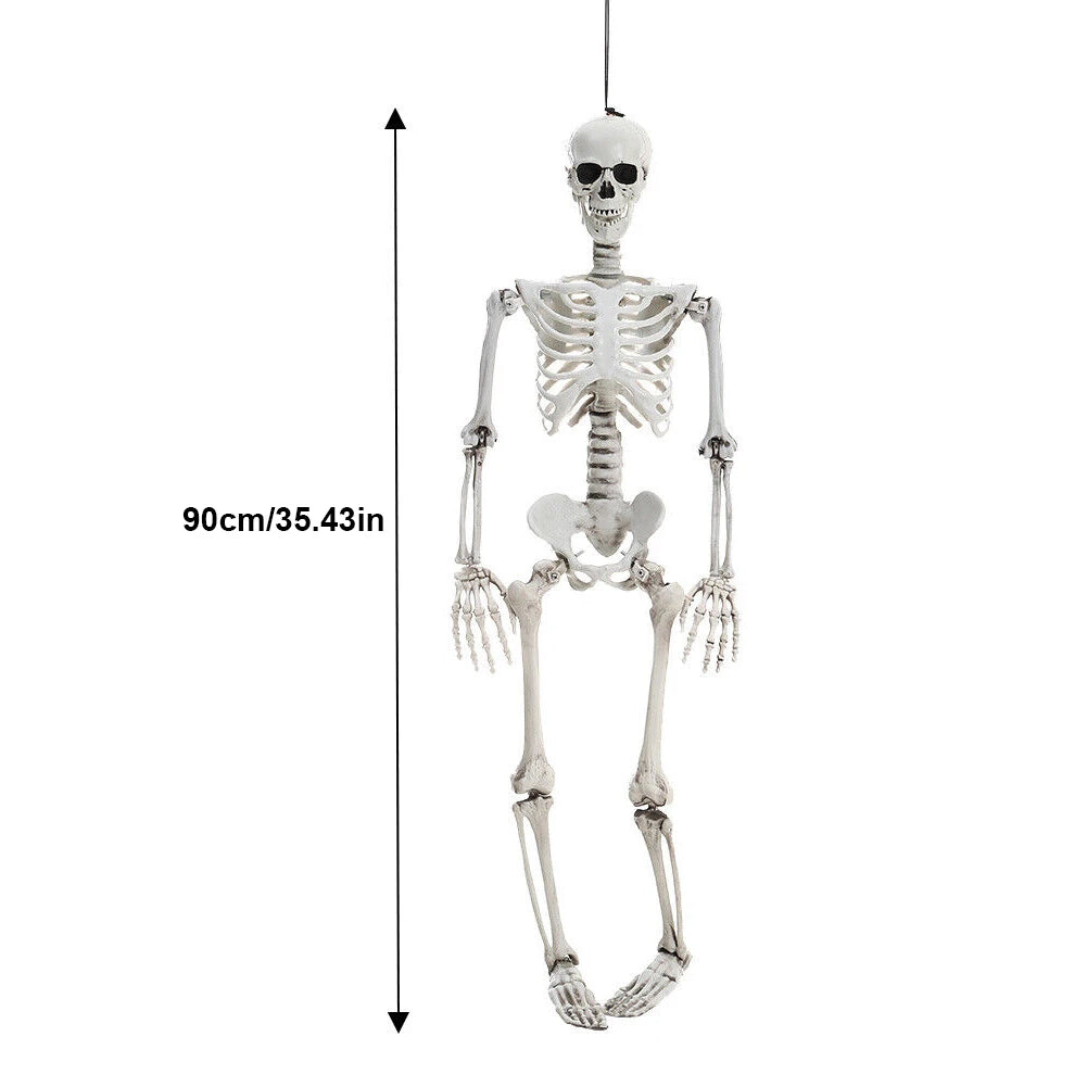 Life-Size Human Skeleton – 90CM Halloween Prop