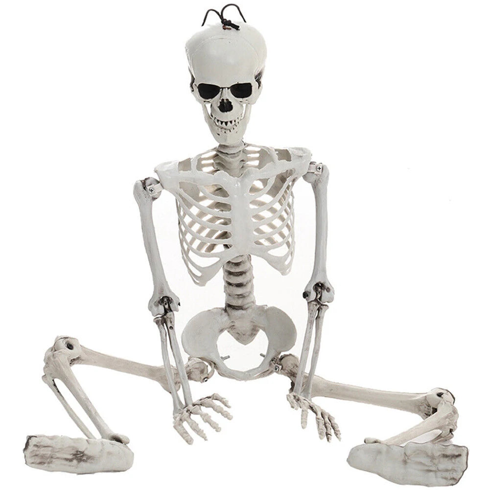 Life-Size Human Skeleton – 90CM Halloween Prop