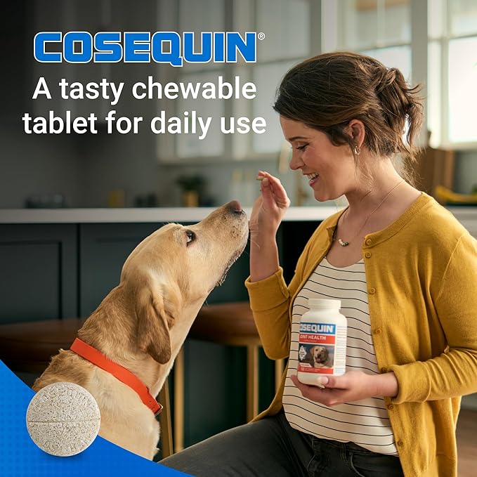 Nutramax Cosequin Joint Health Supplement for Dogs – Glucosamine, Chondroitin & MSM, 132 Chewable Tablets - Urbizia
