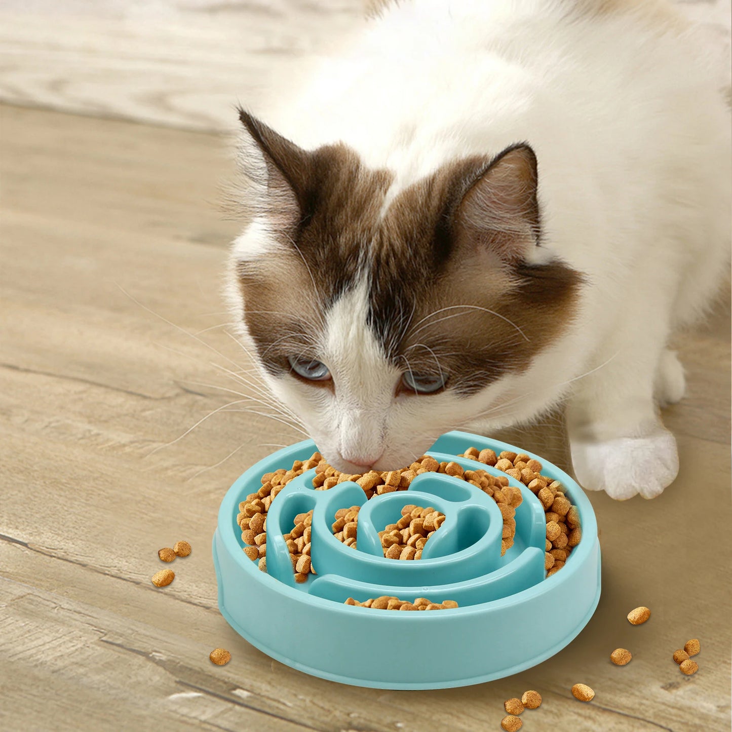 Pet Dog Slow Feeder Bowl Fun Non Slip And Anti-Gulping