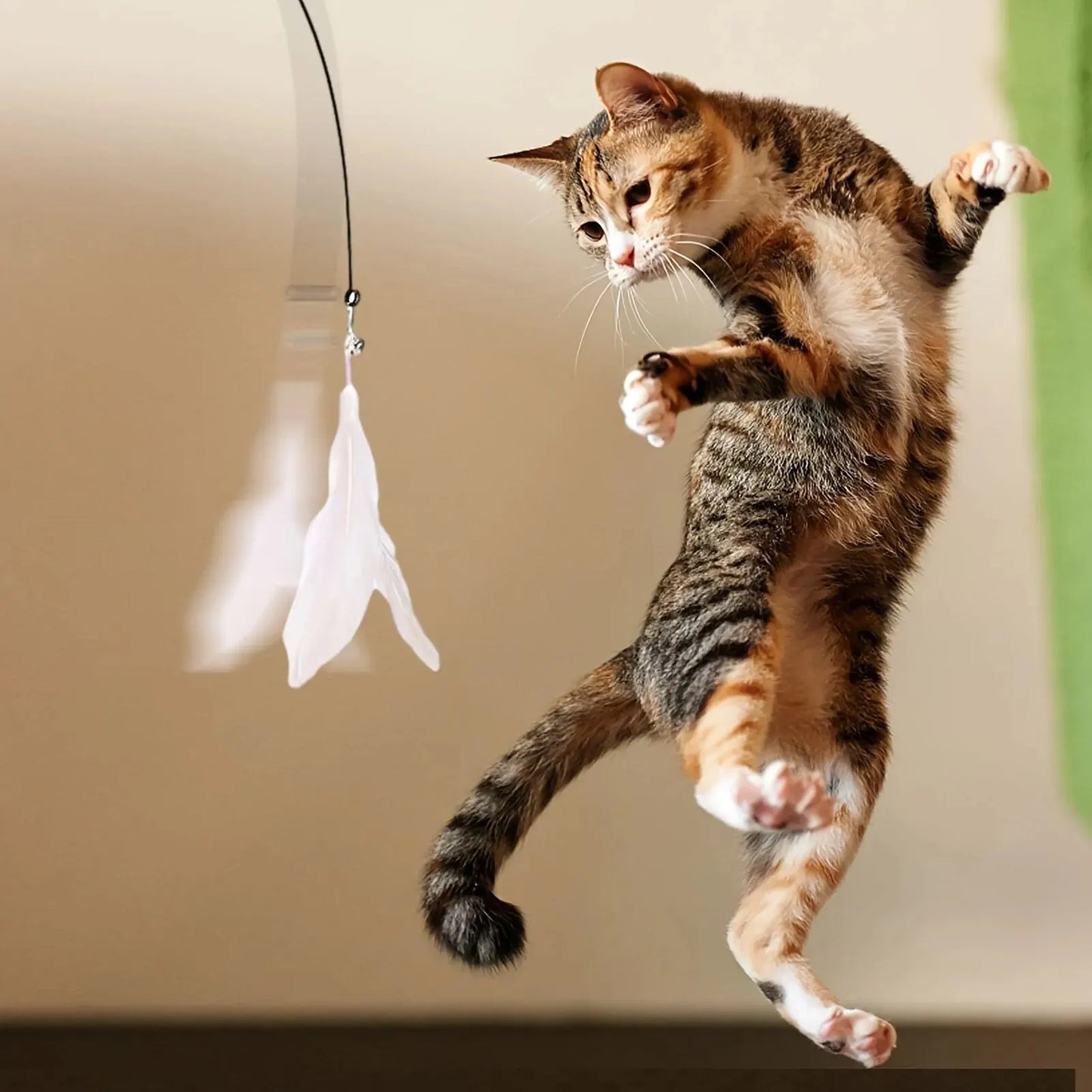 Cat Teaser Wand with Suction Cup