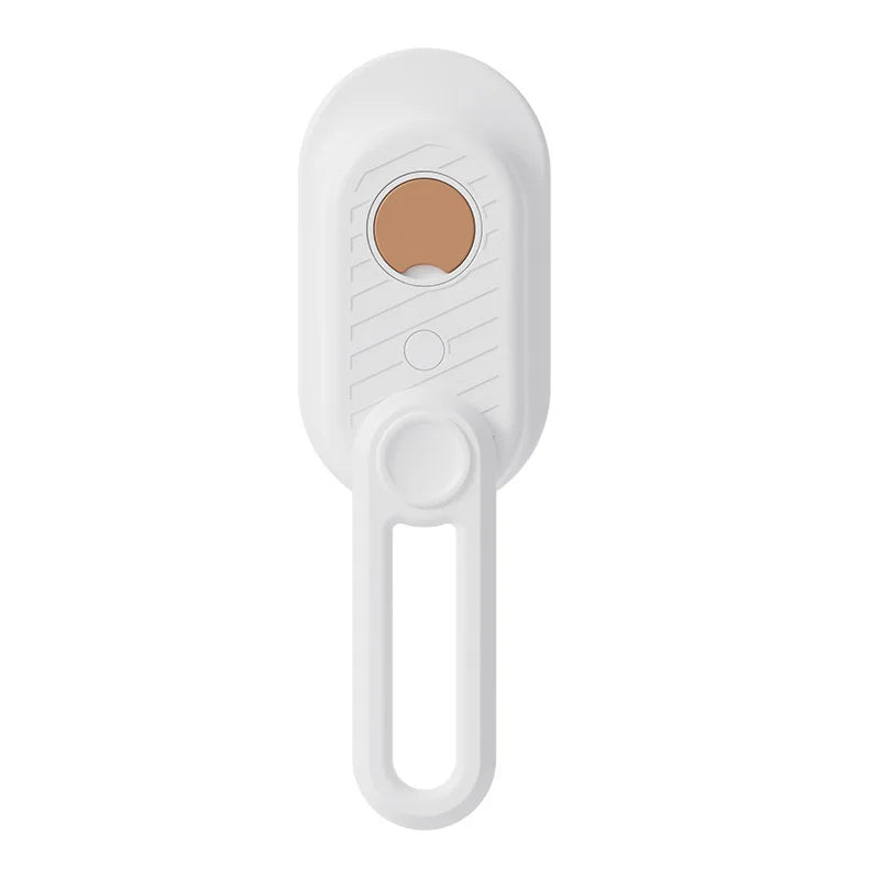 Pet Electric Steam Brush For Grooming