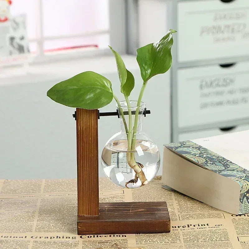 Hydroponic Plant Terrarium Vasevase Decoration Home Glass Bottle Hydroponic Desktop Decoration Office Green Plant Small Potted - Urbizia