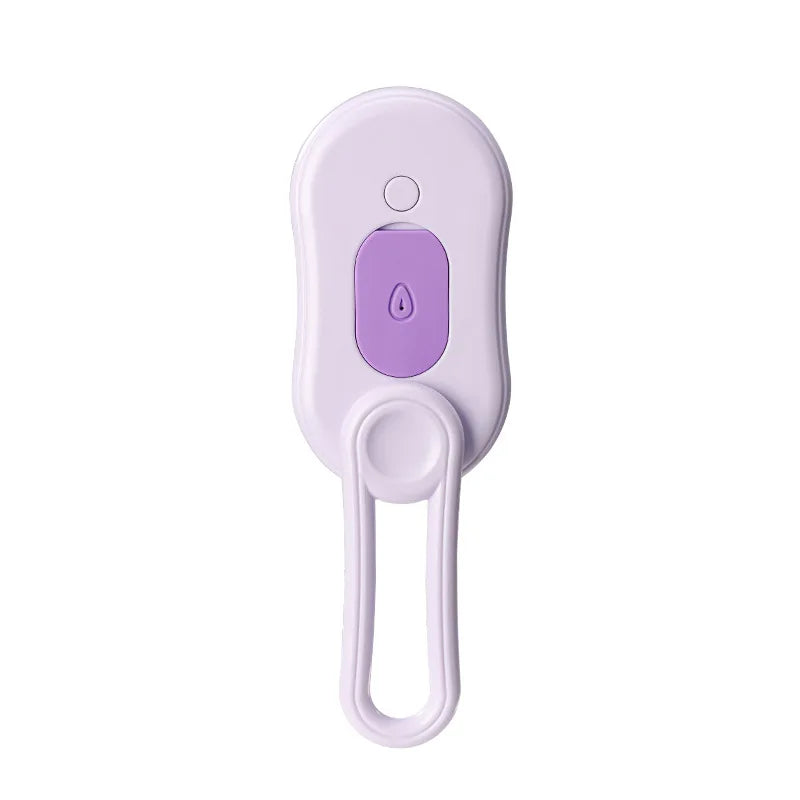 Pet Electric Steam Brush For Grooming