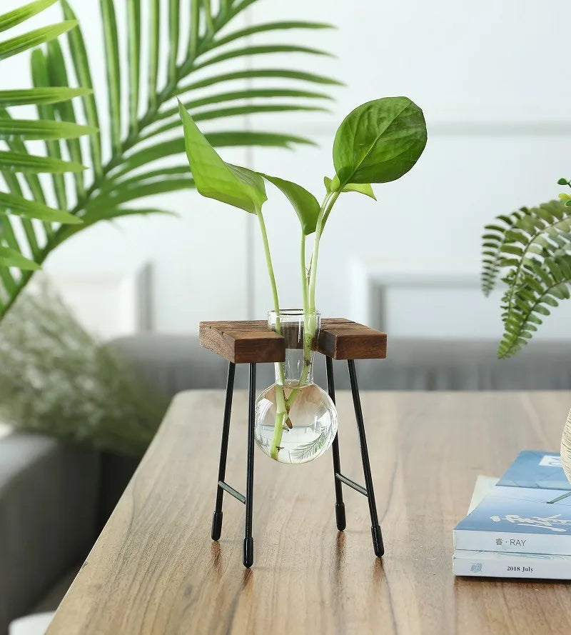 Wooden Frame Hydroponic Planter with Glass Bulb - Indoor Bonsai Plant Vase for Home Tabletop Office Desk Modern Decor