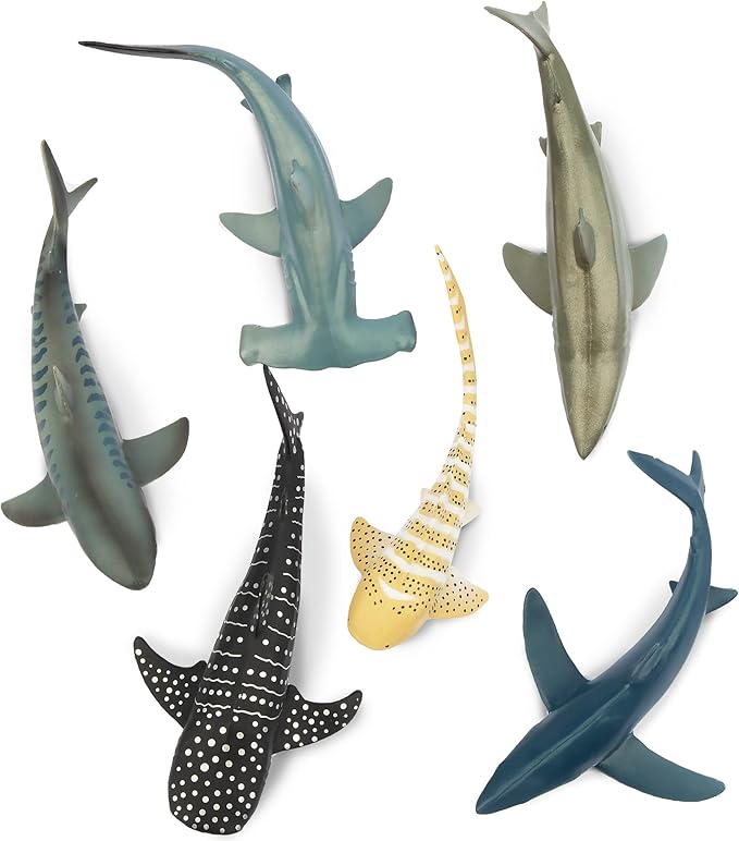 Toymany 6PC Realistic Shark Figurines – Ocean Animal Toys for Kids - Urbizia