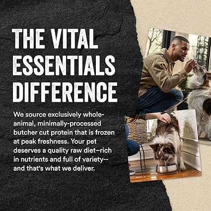 Vital Essentials Beef Liver Dog Treats, 2.1 oz | Freeze-Dried Raw | Single Ingredient | Premium Quality High Protein Training Treats | Grain Free, Gluten Free, Filler Free - Urbizia