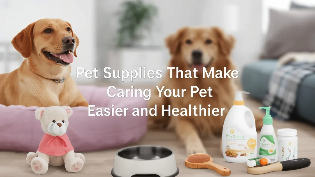Pet Supplies That Make Caring for Your Pet Easier and Healthier