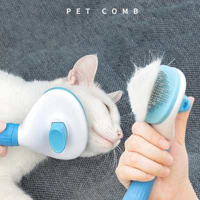 Pet Grooming & Care