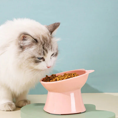 Pet Feeding & Bowls