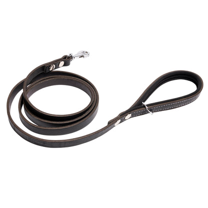 Filbert Genuine Leather Dog Leash Strong Leather Leash for Medium & Small Dogs Leather Leashes for Large Breed Dogs 5.3 ft Leather Leash Training Dog Best Leather Leash Black +4 Colors