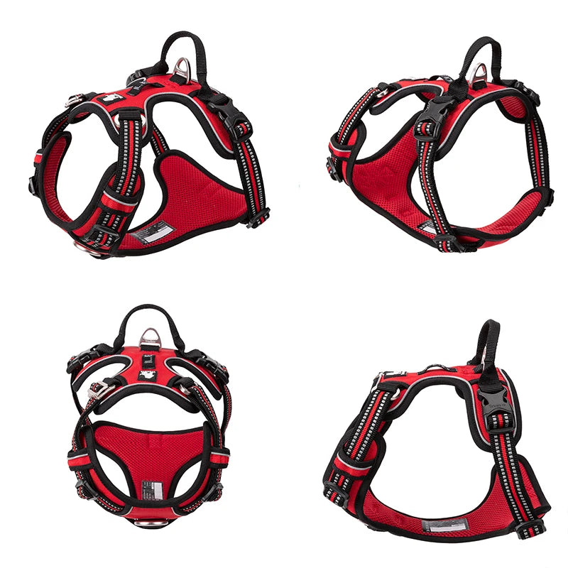 Truelove Four-Point Reflective Dog Harness
