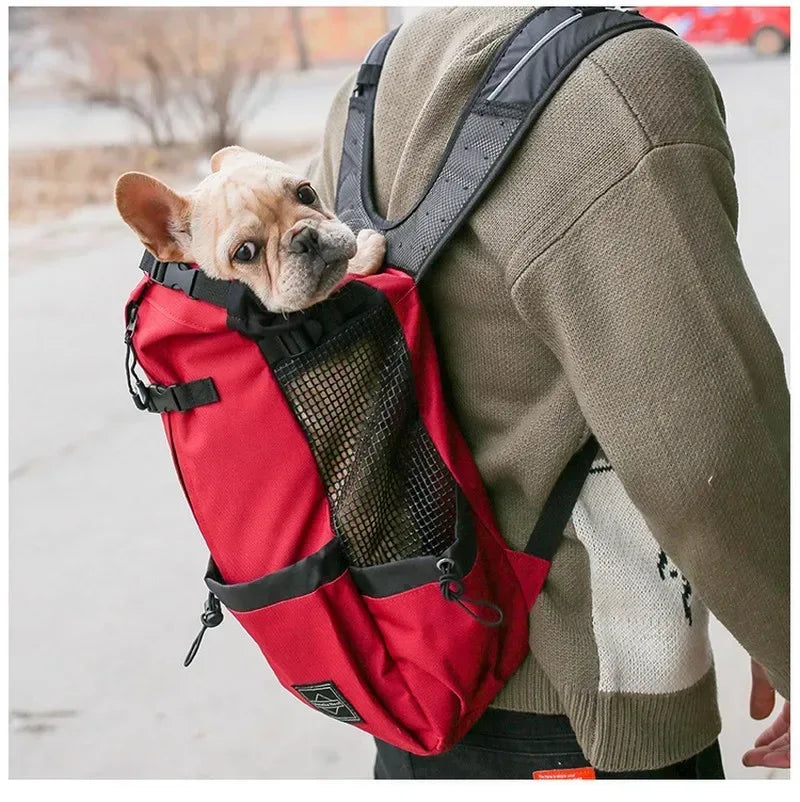 Hiking Pet Dog Carrier Travel Backpack Outdoor Ventilation Breathable Bicycle Motorcycle Outdoor Sport Mesh Bag Drop Shipping - Urbizia