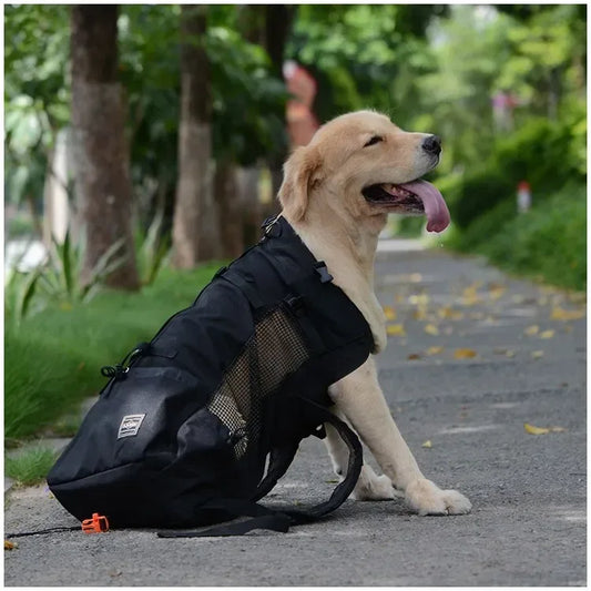 Hiking Pet Dog Carrier Travel Backpack Outdoor Ventilation Breathable Bicycle Motorcycle Outdoor Sport Mesh Bag Drop Shipping - Urbizia