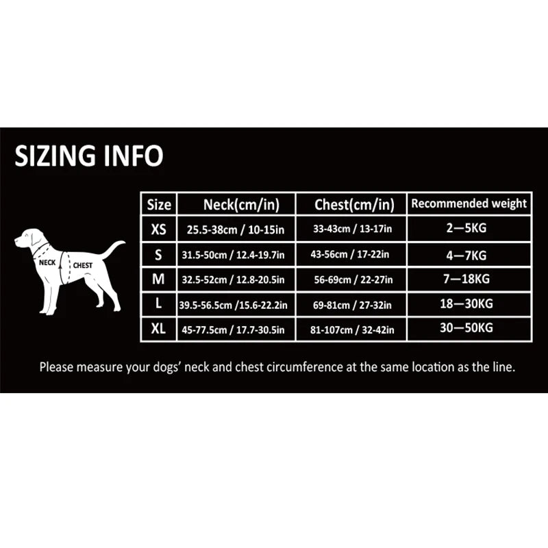 Truelove Four-Point Reflective Dog Harness