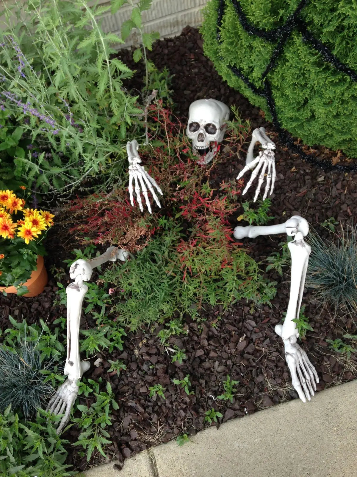 Halloween Decor Skeleton Stakes – Realistic Skull, Human Hand & Arms for Party
