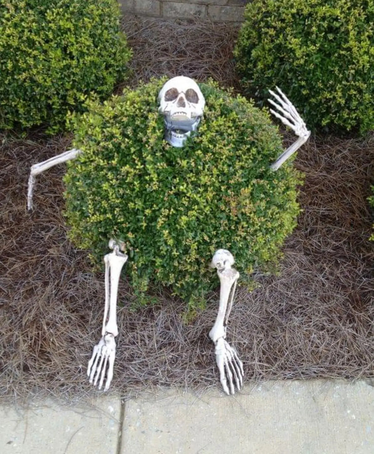 Halloween Decor Skeleton Stakes – Realistic Skull, Human Hand & Arms for Party