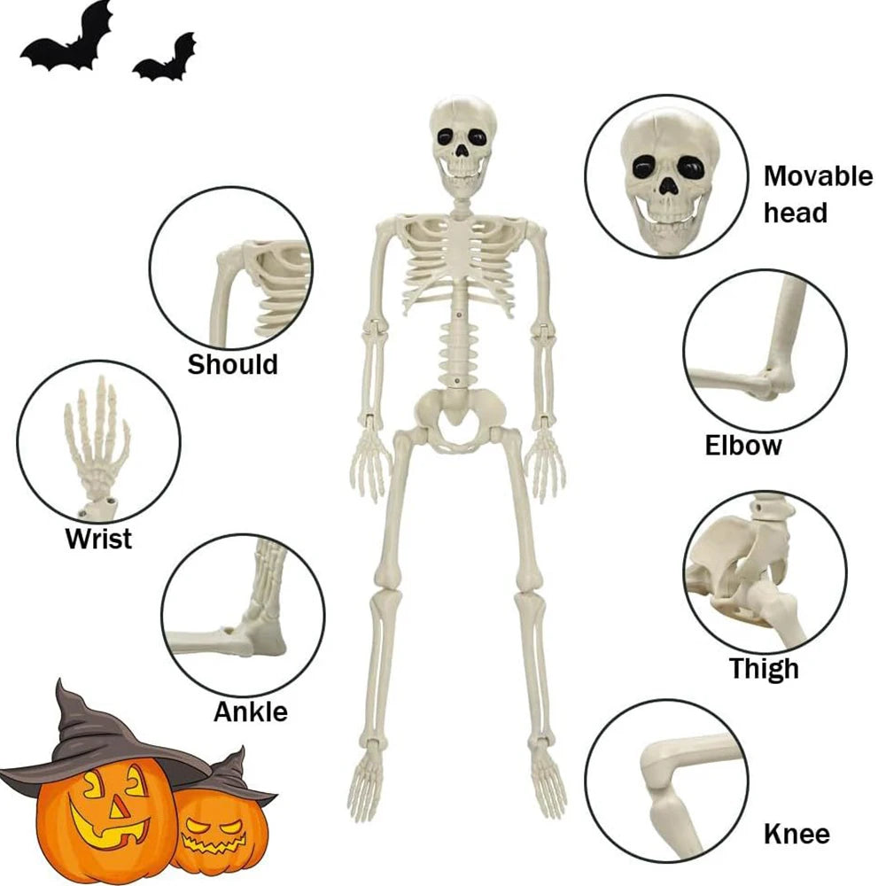 Halloween Decorations Posable Human Skeleton – Fake Bone Horror Prop for Spooky Décor