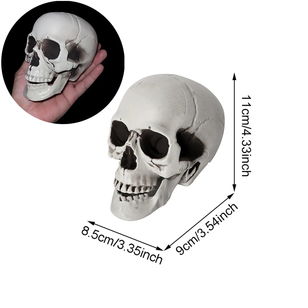 Halloween Skull Decoration – Realistic Plastic Skeleton Head for Party, Yard, and Haunted House Props