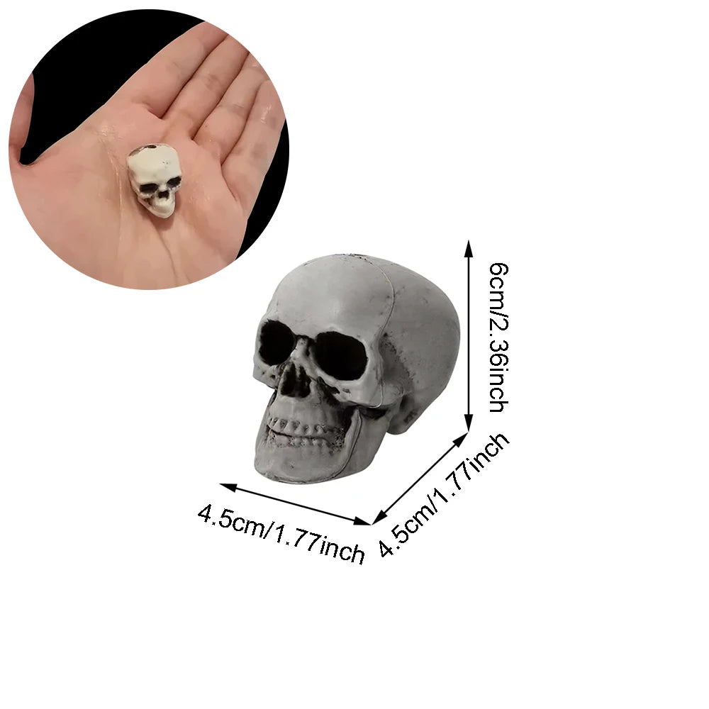 Halloween Skull Decoration – Realistic Plastic Skeleton Head for Party, Yard, and Haunted House Props