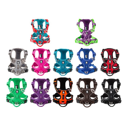 Truelove Four-Point Reflective Dog Harness
