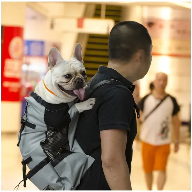 Hiking Pet Dog Carrier Travel Backpack Outdoor Ventilation Breathable Bicycle Motorcycle Outdoor Sport Mesh Bag Drop Shipping - Urbizia