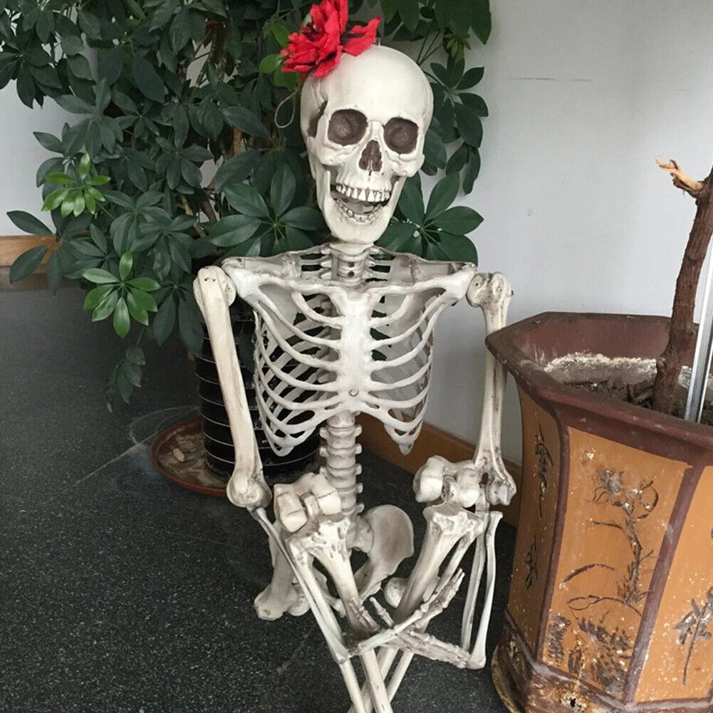 Life-Size Human Skeleton – 90CM Halloween Prop