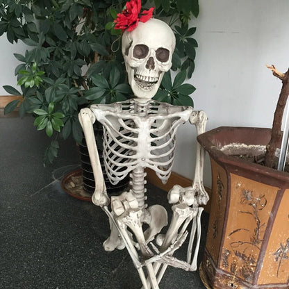 Life-Size Human Skeleton – 90CM Halloween Prop