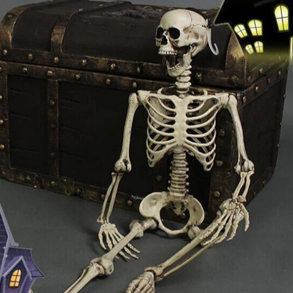 Life-Size Human Skeleton – 90CM Halloween Prop
