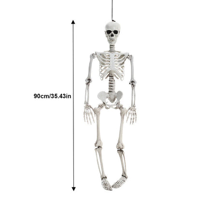 Life-Size Human Skeleton – 90CM Halloween Prop