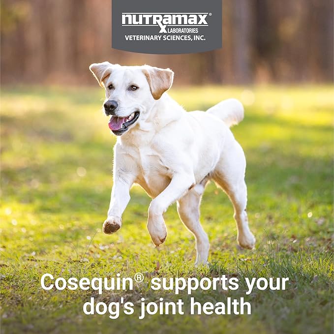 Nutramax Cosequin Joint Health Supplement for Dogs – Glucosamine, Chondroitin & MSM, 132 Chewable Tablets - Urbizia