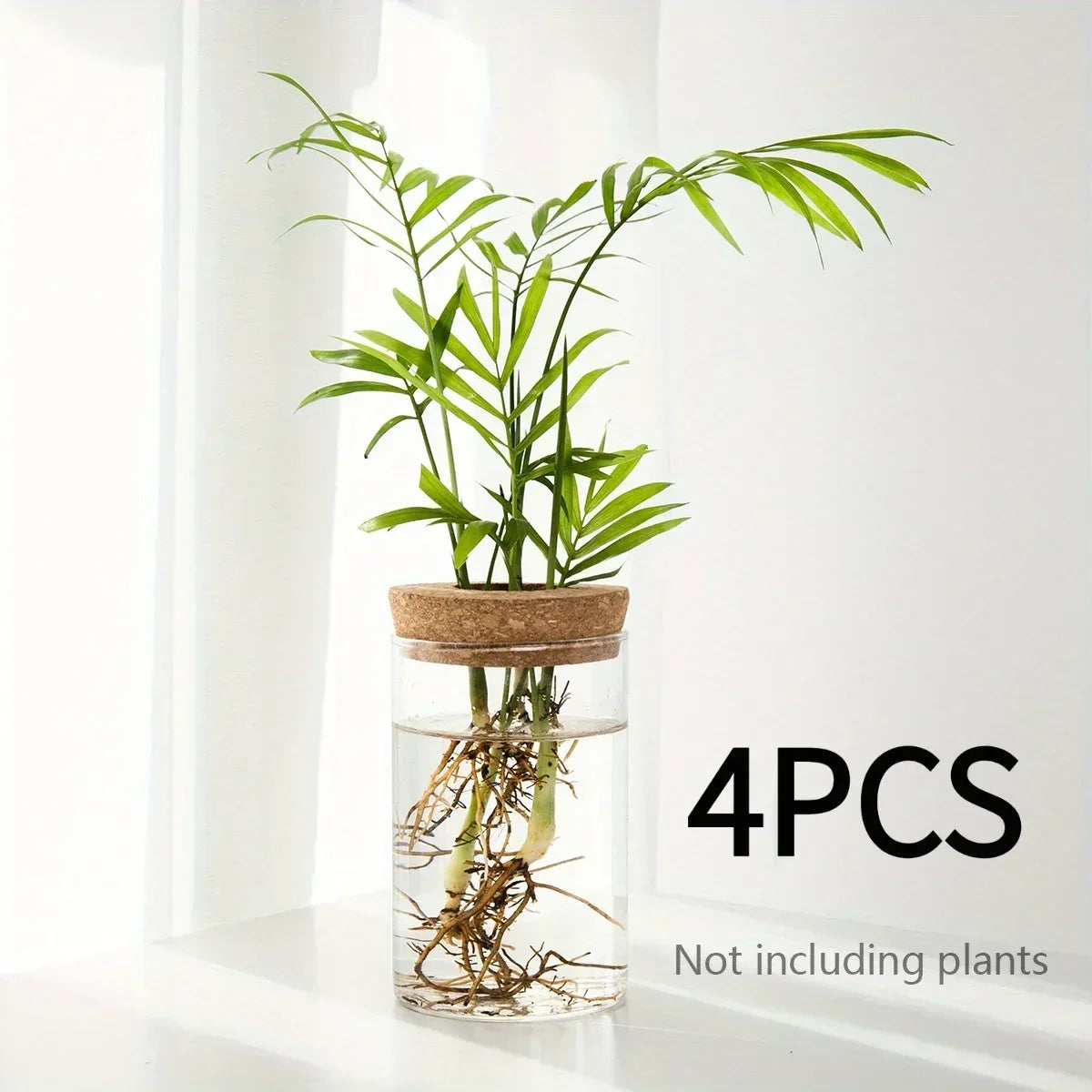1pc, Hydroponics Plants Desktop Glass Planter Vase For Home Decoration, Plant Propagation Station Bud Vase, Desktop Hydroponics - Urbizia